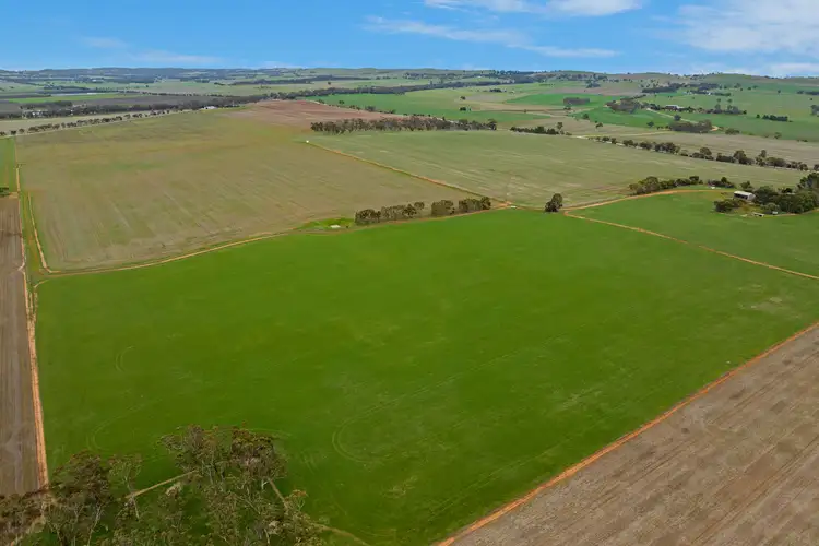 Sixth view of Homely rural property listing, 'South Farm' 206 Lally Road, Hill River SA 5453