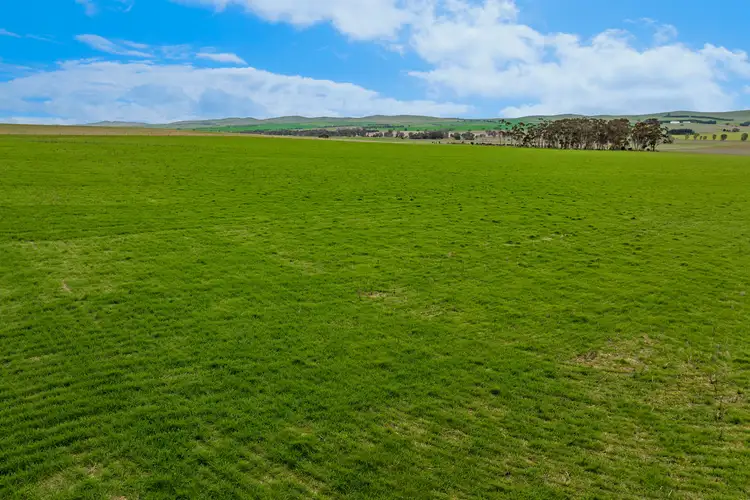 Seventh view of Homely rural property listing, 'South Farm' 206 Lally Road, Hill River SA 5453