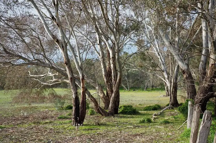 LOT 6, 60 Caldwell Street, Heathcote VIC 3523