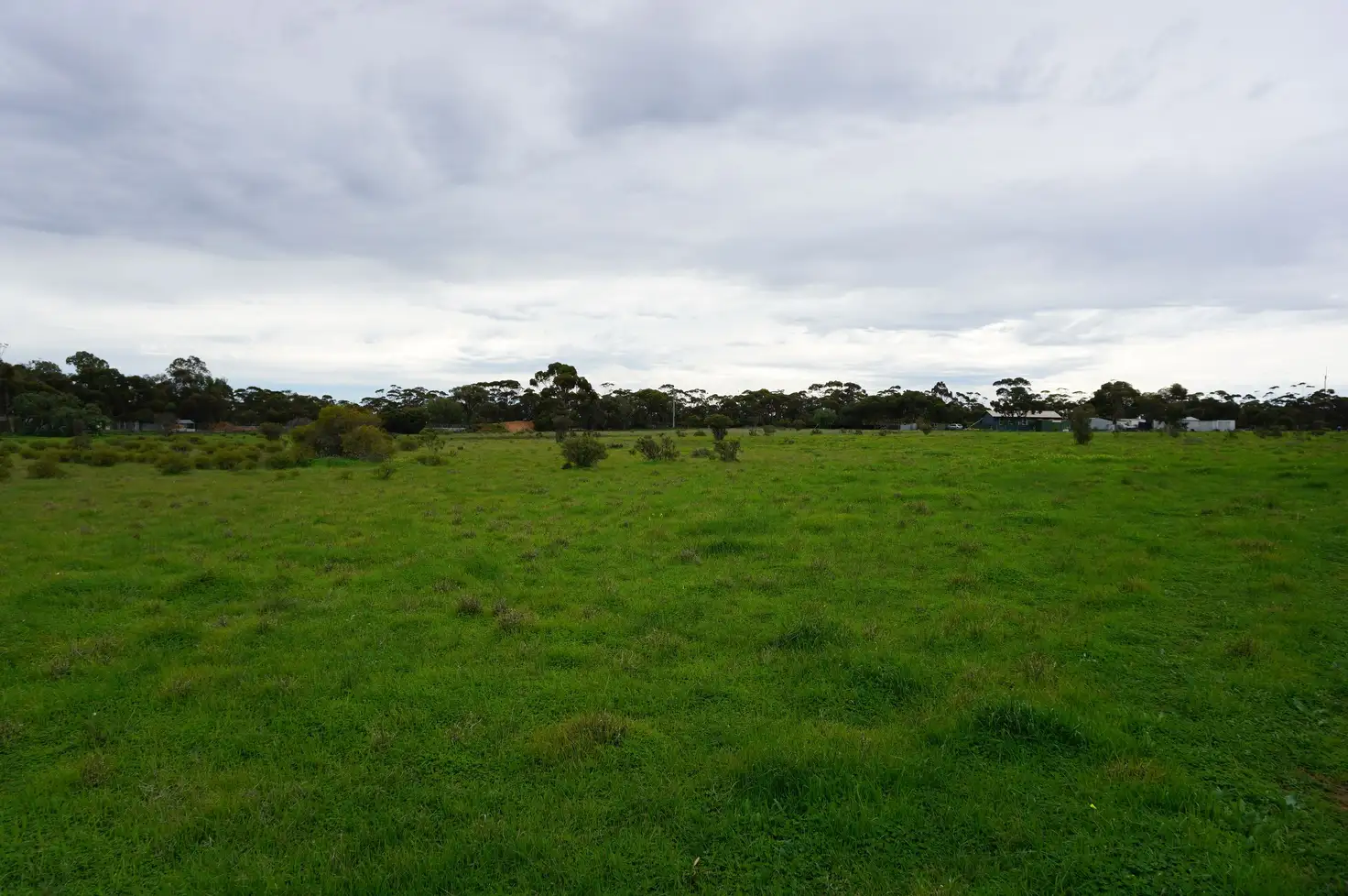 Main view of Homely land listing, Lot 530 Davies Road, Halbury SA 5461