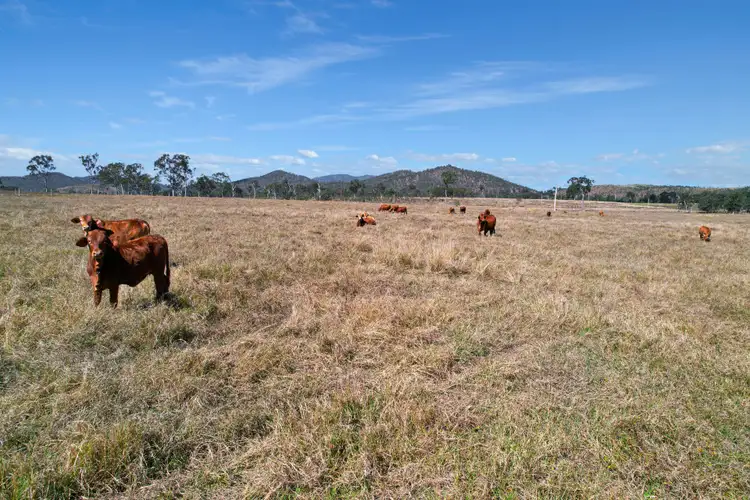 Fourth view of Homely rural property listing, 3289 Marlborough Sarina Road, Blue Mountain QLD 4737