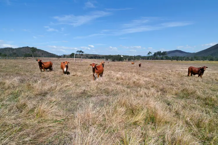 Fifth view of Homely rural property listing, 3289 Marlborough Sarina Road, Blue Mountain QLD 4737