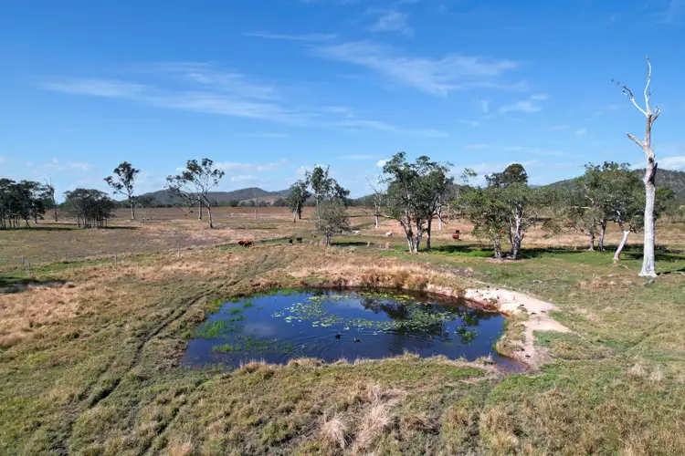 Sixth view of Homely rural property listing, 3289 Marlborough Sarina Road, Blue Mountain QLD 4737