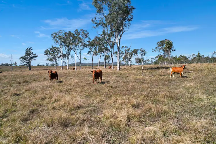 Seventh view of Homely rural property listing, 3289 Marlborough Sarina Road, Blue Mountain QLD 4737