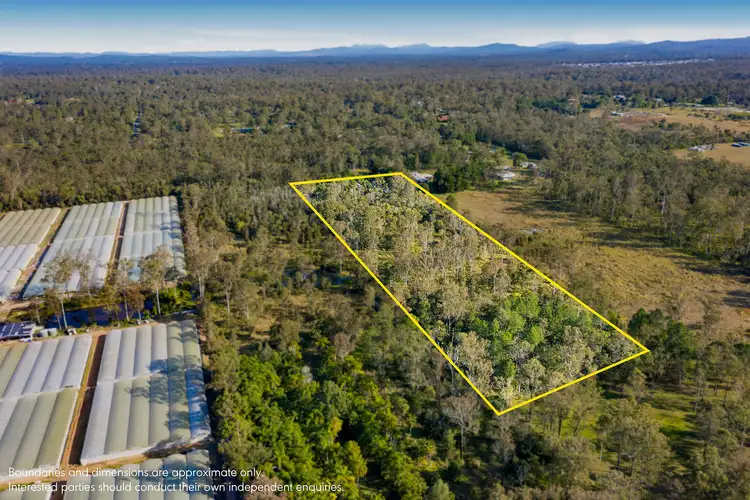 Fifth view of Homely house listing, 31 Wynne Road, Greenbank QLD 4124