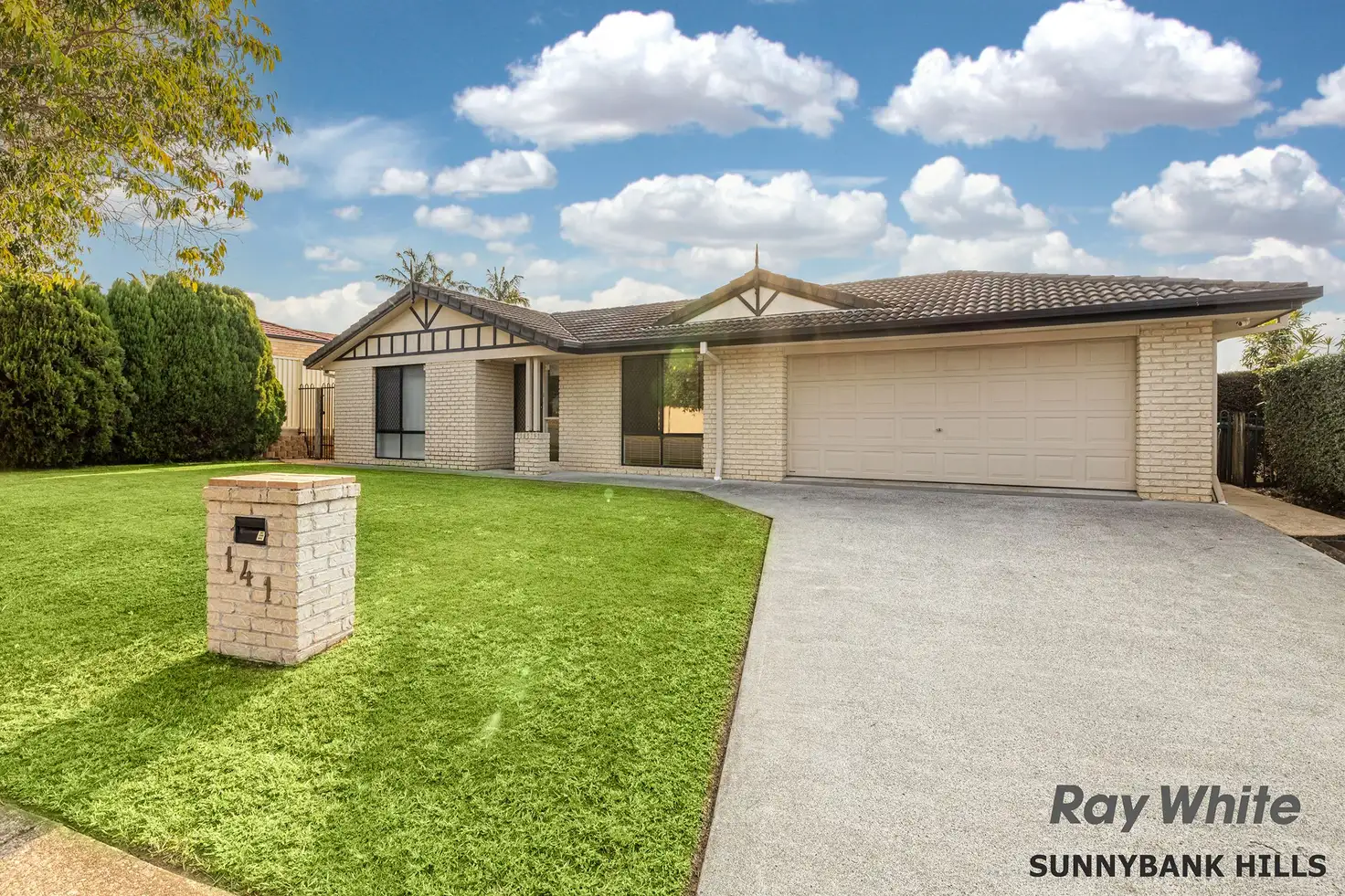 Main view of Homely house listing, 141 Macquarie Way, Drewvale QLD 4116