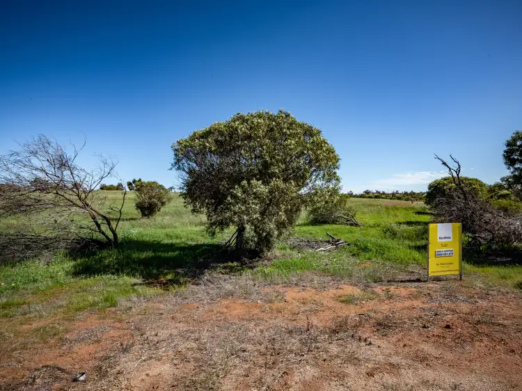 Fifth view of Homely land listing, 5 Forrest Street, Northampton WA 6535