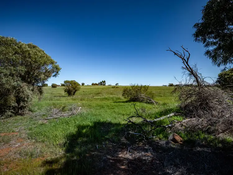 Sixth view of Homely land listing, 5 Forrest Street, Northampton WA 6535