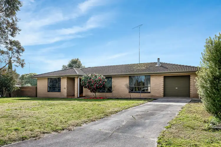 Main view of Homely house listing, 24 Ramsay Avenue, Mount Gambier SA 5290