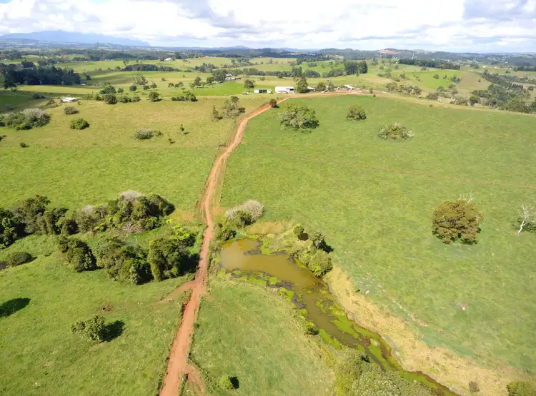 Third view of Homely rural property listing, 124 Landry Road, Malanda QLD 4885