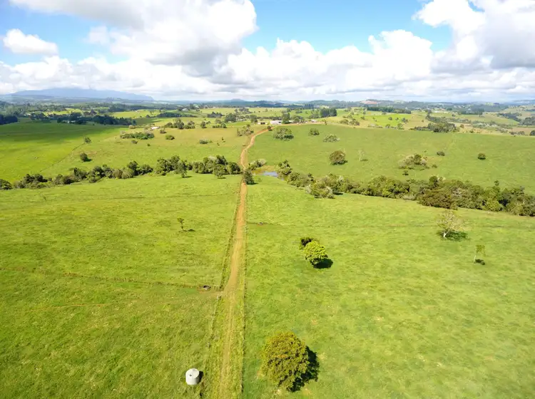 Fifth view of Homely rural property listing, 124 Landry Road, Malanda QLD 4885