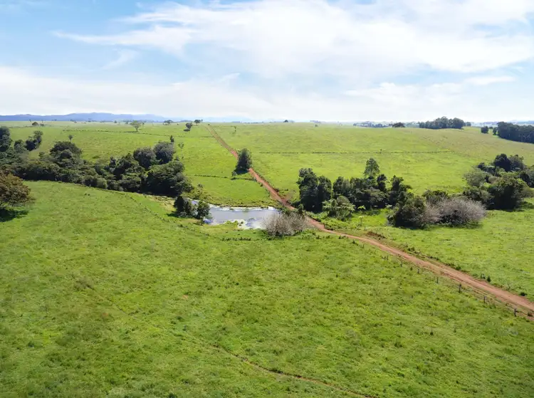 Sixth view of Homely rural property listing, 124 Landry Road, Malanda QLD 4885