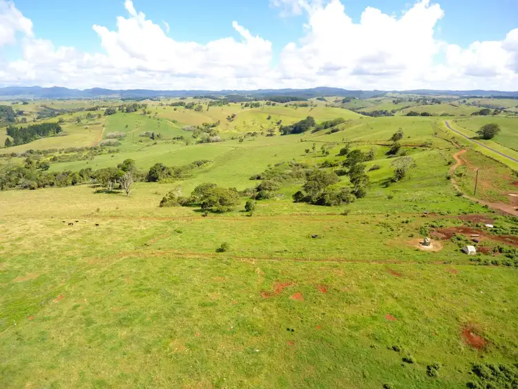 Seventh view of Homely rural property listing, 124 Landry Road, Malanda QLD 4885