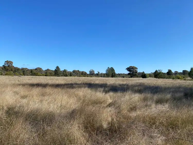 Fourth view of Homely rural property listing, Lot 16 DP752086 Carlisle Road, Fifield NSW 2875