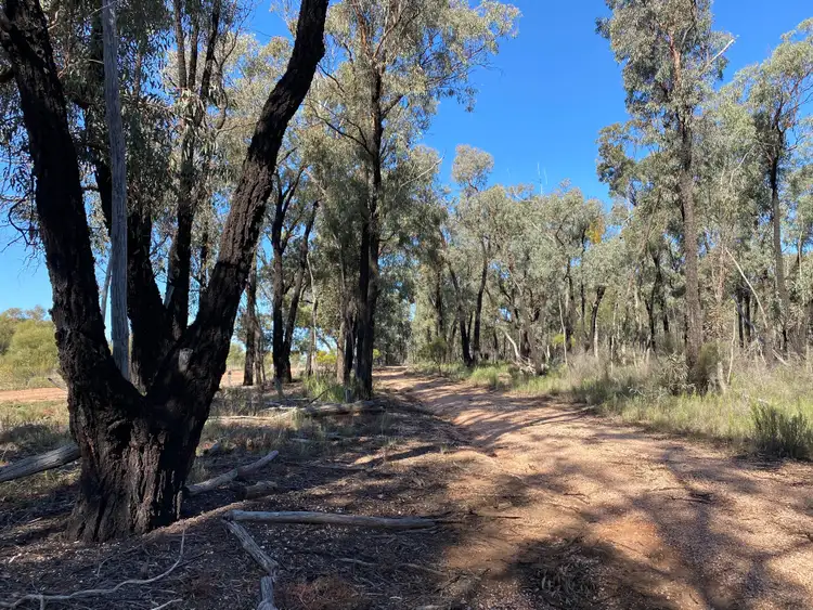 Sixth view of Homely rural property listing, Lot 16 DP752086 Carlisle Road, Fifield NSW 2875