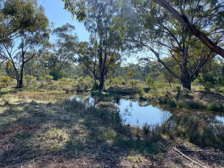 Seventh view of Homely rural property listing, Lot 16 DP752086 Carlisle Road, Fifield NSW 2875