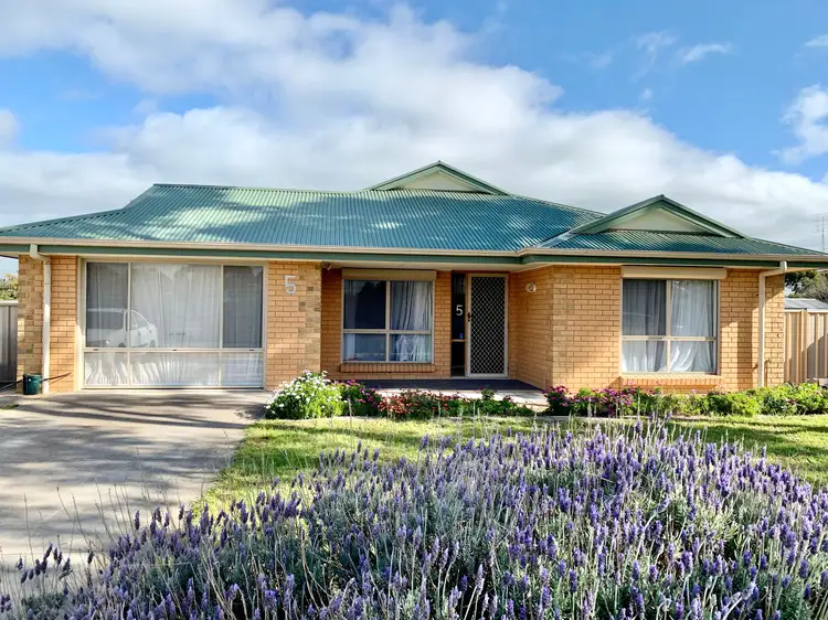 Main view of Homely house listing, 5 Henstridge Street, Keith SA 5267