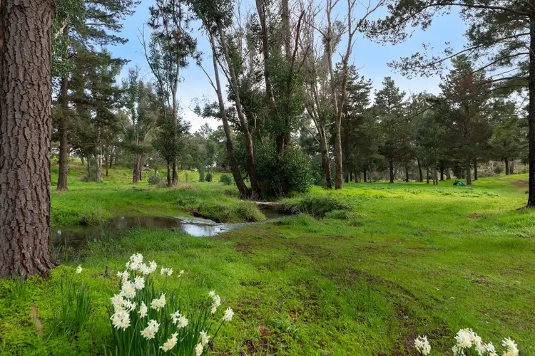 Third view of Homely land listing, Lot 500 Asplin Road, Nannup WA 6275