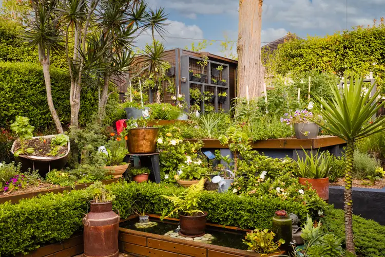 Sixth view of Homely house listing, 104 Elimatta Road, Mona Vale NSW 2103