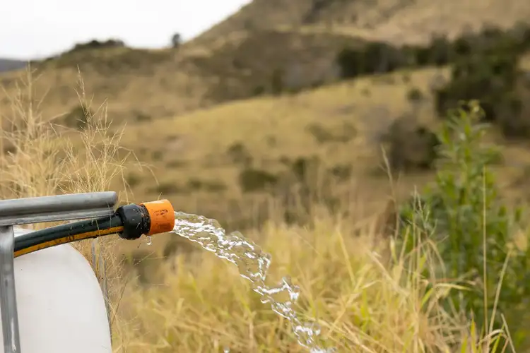 Fourth view of Homely rural property listing, Lot 69 MacGinleys Road, West Haldon QLD 4359