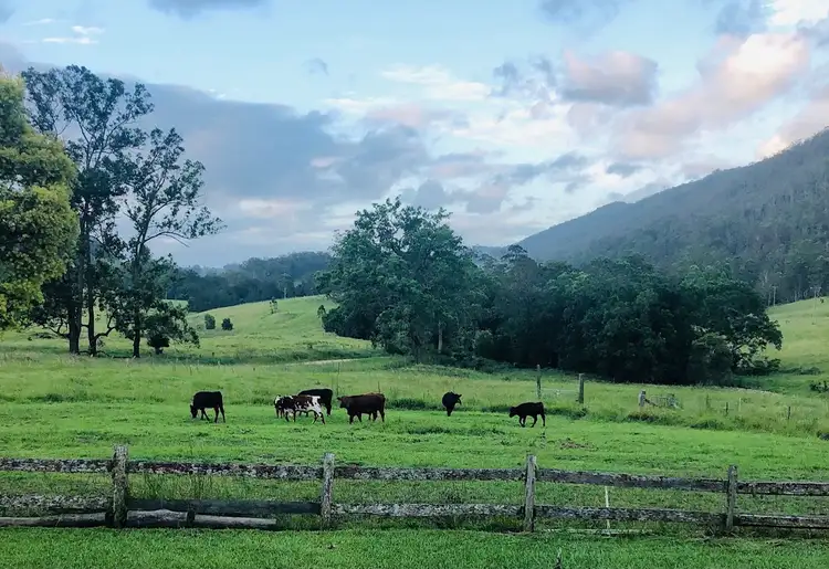 Second view of Homely rural property listing, 1728 Mill Creek Road, Wards River NSW 2422
