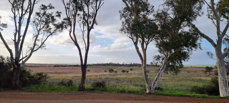 Main view of Homely house listing, 36 Birdwood Street, Mullewa WA 6630