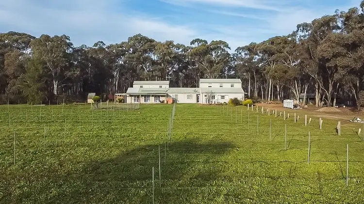 Second view of Homely house listing, 150 Yankee Creek Road, Wellsford VIC 3551