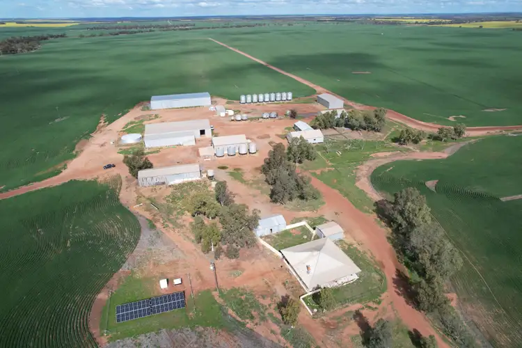 Fifth view of Homely rural property listing, Yallembee Midlands Road, Carnamah WA 6517