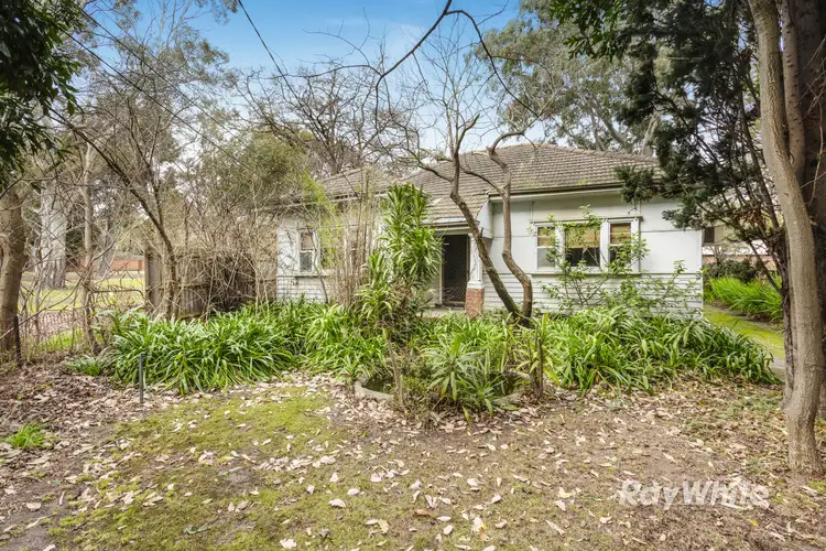 Main view of Homely house listing, 33 Omama Road, Murrumbeena VIC 3163