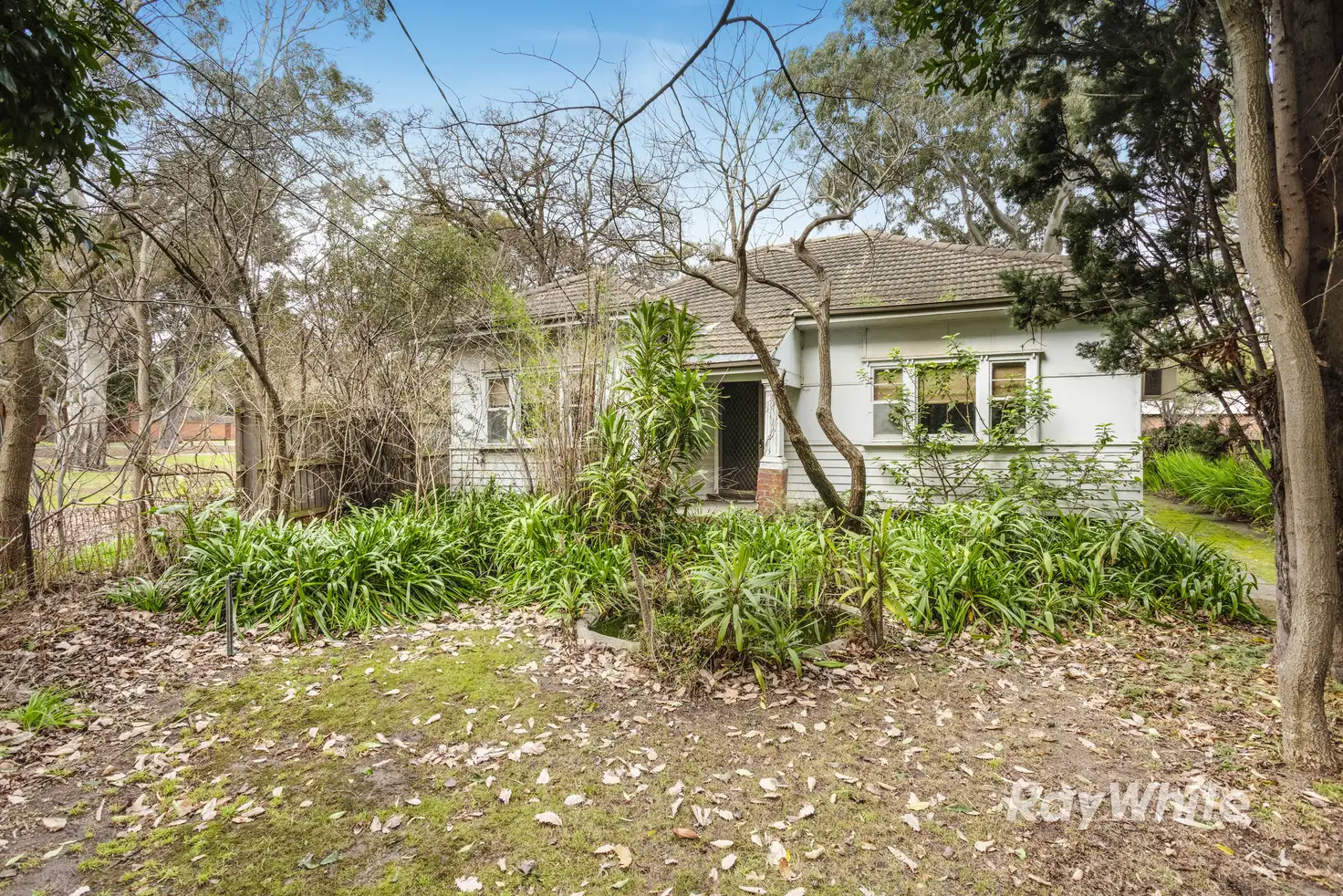 Main view of Homely house listing, 33 Omama Road, Murrumbeena VIC 3163