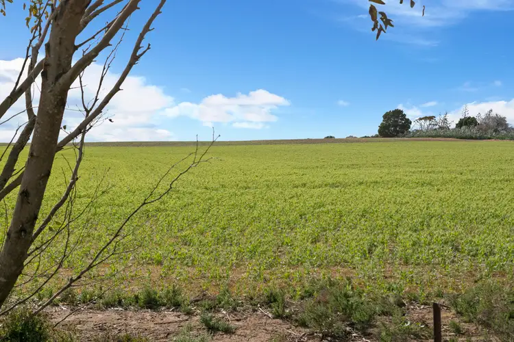 Third view of Homely rural property listing, 'O'Hallorans' 522 Goldney Road, Erith SA 5461