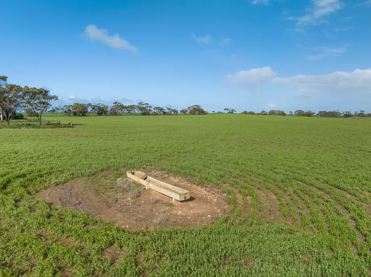 Sixth view of Homely rural property listing, 'O'Hallorans' 522 Goldney Road, Erith SA 5461