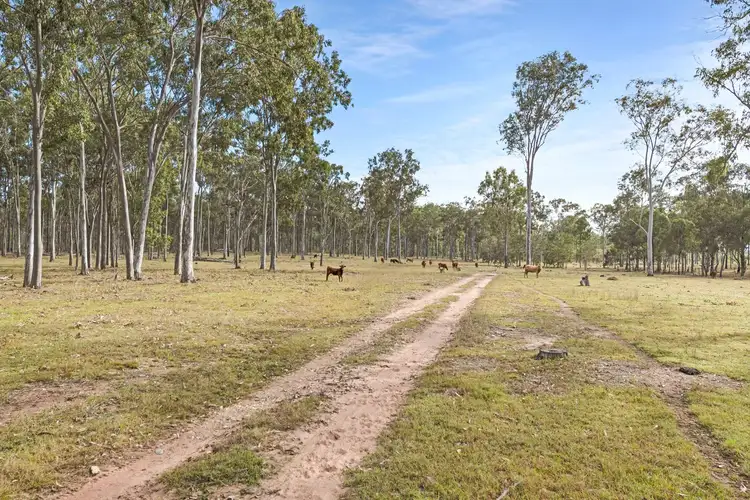 Fifth view of Homely land listing, 616 Mahoneys Road, Bucca QLD 4670