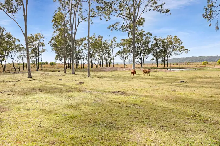 Sixth view of Homely land listing, 616 Mahoneys Road, Bucca QLD 4670