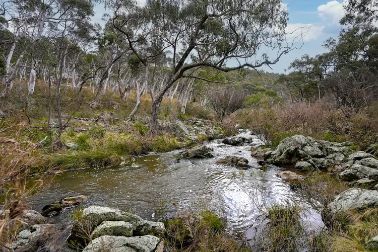 Fifth view of Homely rural property listing, 1837 O'Connell Road, O'connell NSW 2795