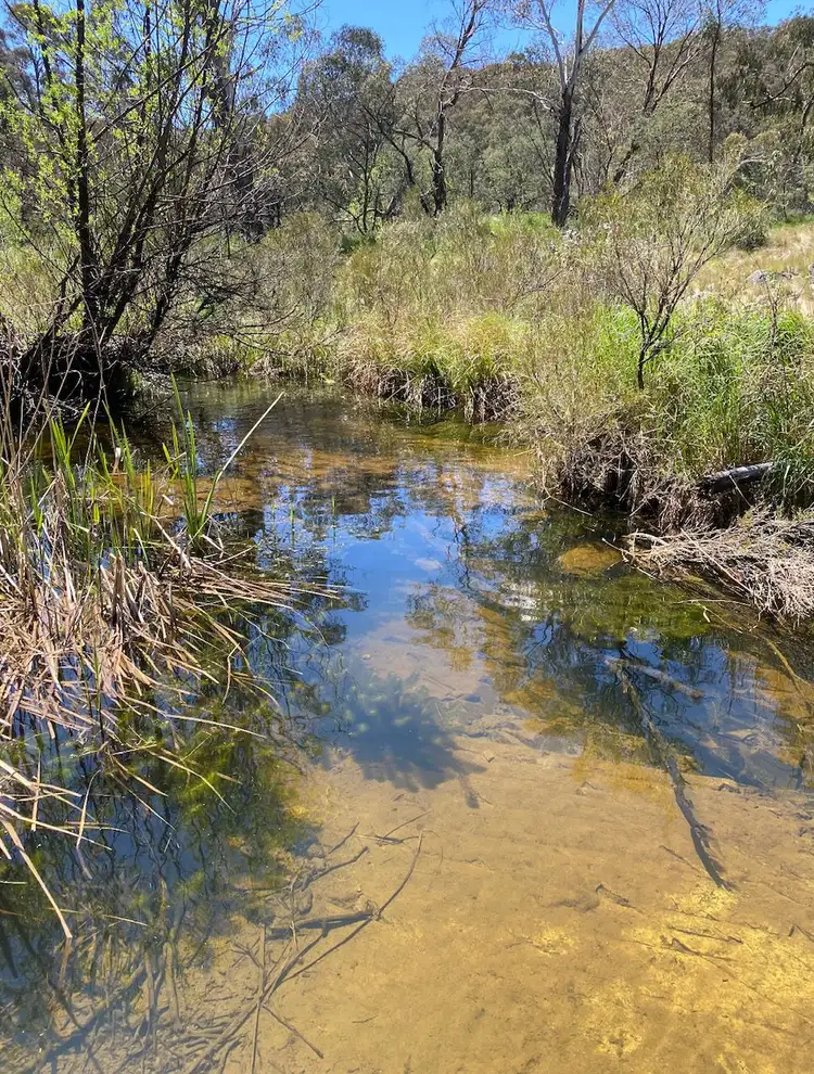 Sixth view of Homely rural property listing, 1837 O'Connell Road, O'connell NSW 2795