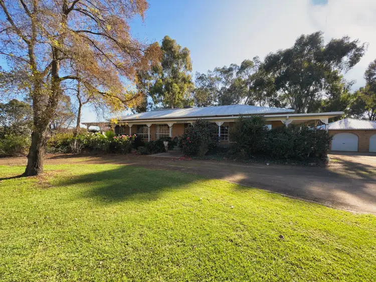 205 River Road, Forbes NSW 2871