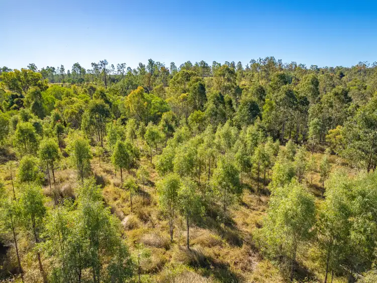 Seventh view of Homely land listing, 17 Baupleview Road, St Mary QLD 4650