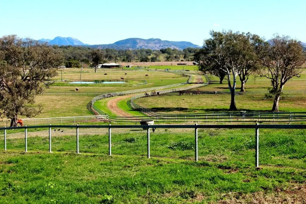 Main view of Homely rural property listing, 501 Christmas Creek Road, Tabooba QLD 4285