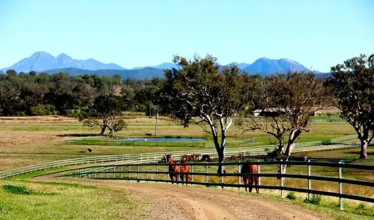 Second view of Homely rural property listing, 501 Christmas Creek Road, Tabooba QLD 4285