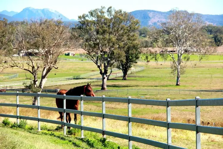 Third view of Homely rural property listing, 501 Christmas Creek Road, Tabooba QLD 4285