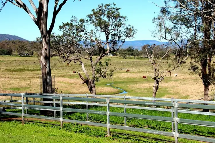 Fourth view of Homely rural property listing, 501 Christmas Creek Road, Tabooba QLD 4285