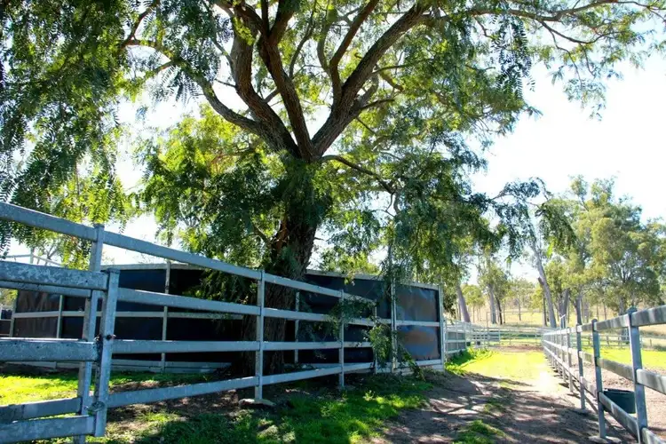 Fifth view of Homely rural property listing, 501 Christmas Creek Road, Tabooba QLD 4285