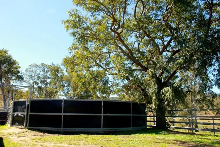 Sixth view of Homely rural property listing, 501 Christmas Creek Road, Tabooba QLD 4285