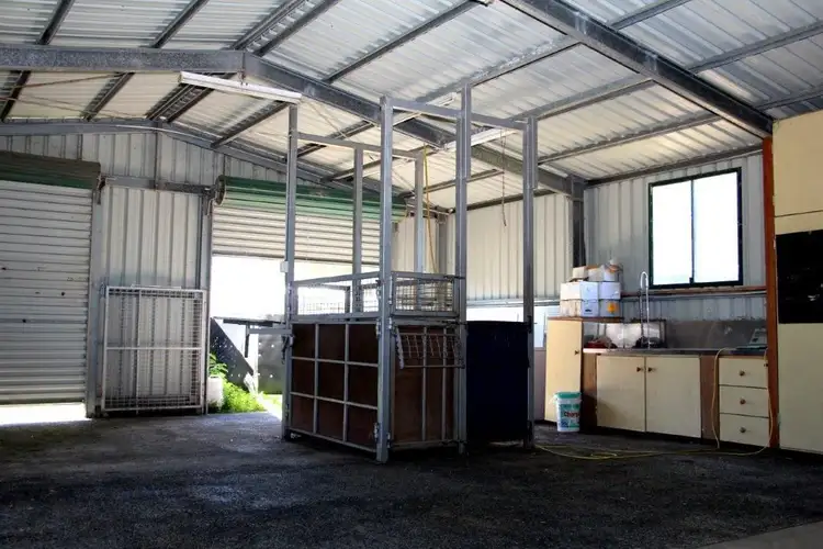 Seventh view of Homely rural property listing, 501 Christmas Creek Road, Tabooba QLD 4285