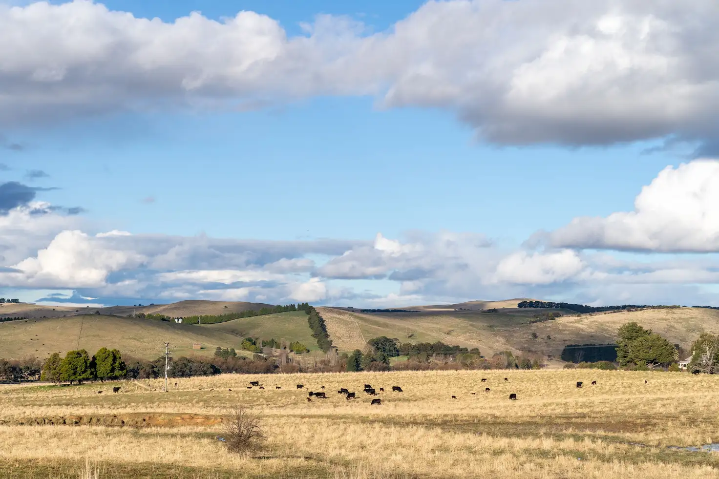 Main view of Homely land listing, 26 Castle Vista Way, Blayney NSW 2799