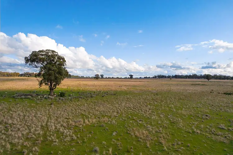 Fourways Uphills Road, Forbes NSW 2871