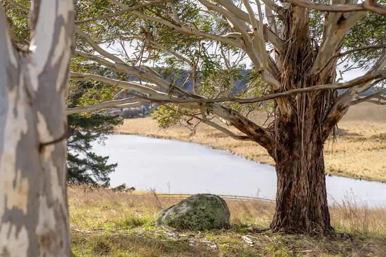 Sixth view of Homely rural property listing, 232 Harveys Road, Oberon NSW 2787