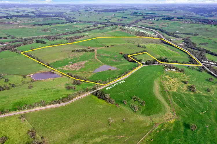 Fourth view of Homely rural property listing, 170 Cobden Port Campbell Road, Scotts Creek VIC 3267