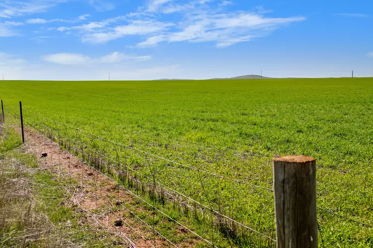 Second view of Homely rural property listing, 'Reserve' Riley Road, Mintaro SA 5415